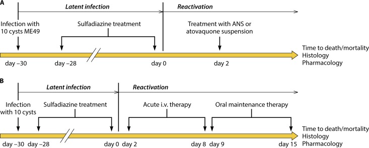 FIG 4