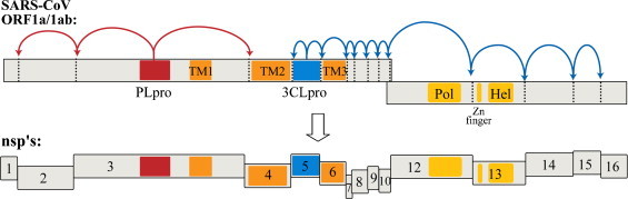 Fig. 1