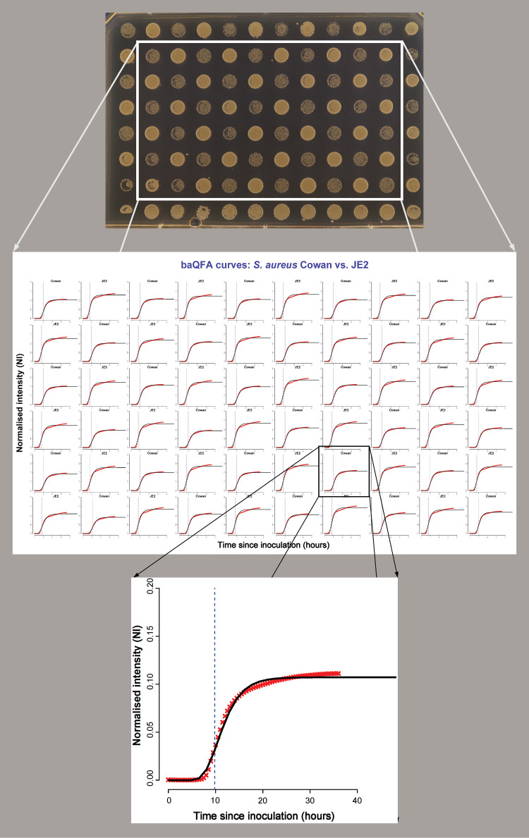 FIG 1