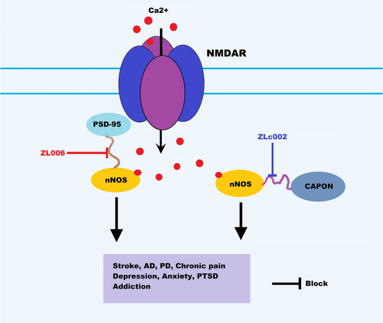 Fig. 2