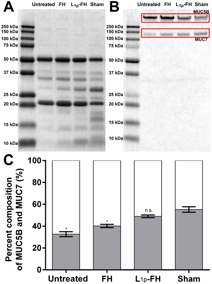 Fig 5