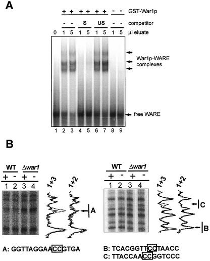 FIG. 5.