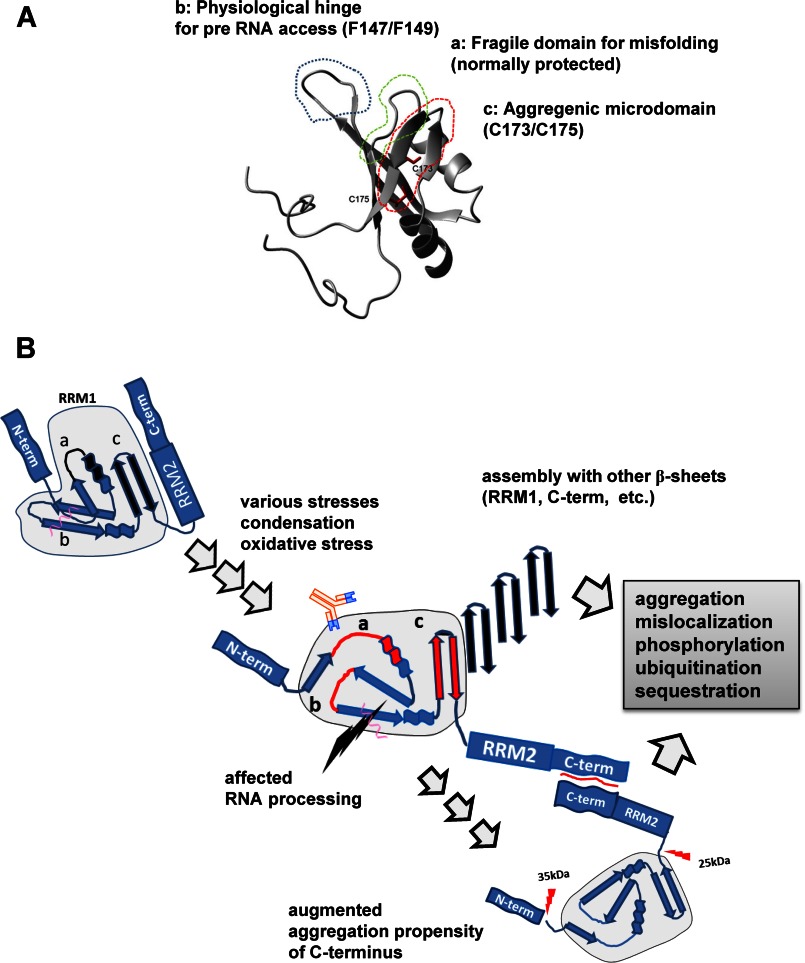 FIGURE 12.