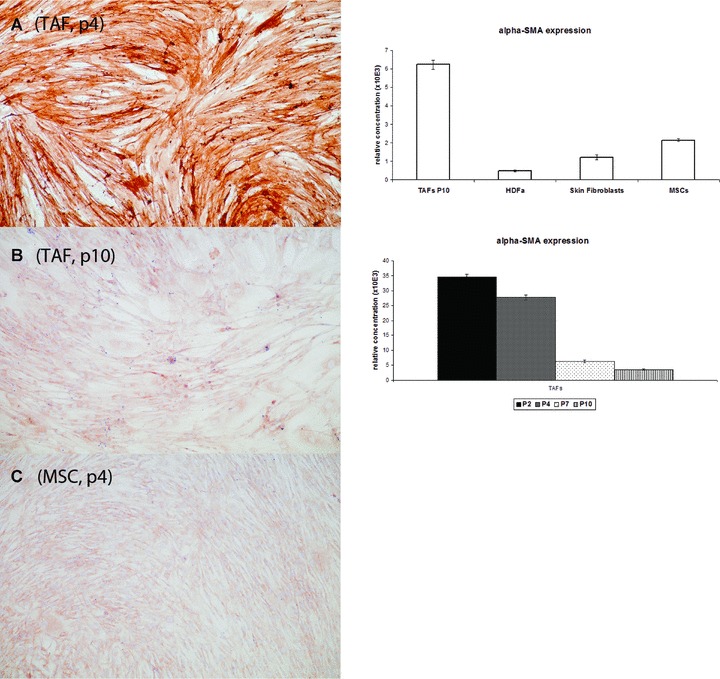 Fig 10