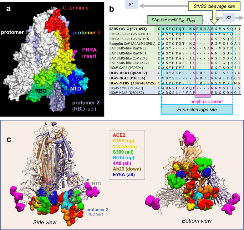 Figure 1: