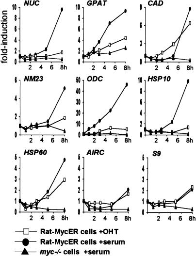 Figure 9