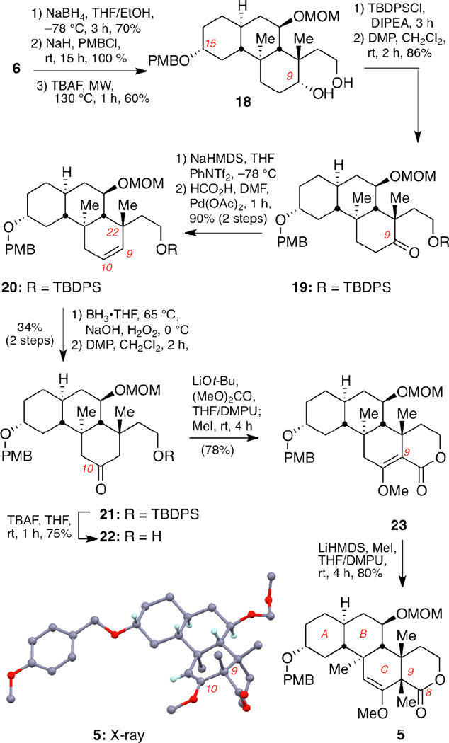 Scheme 3