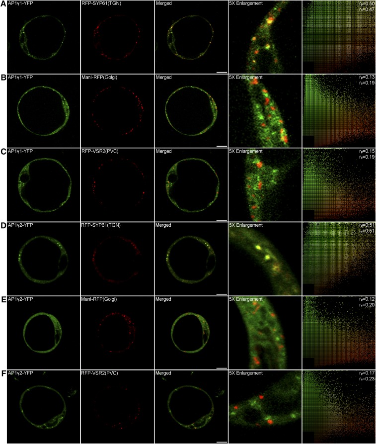 Figure 6.