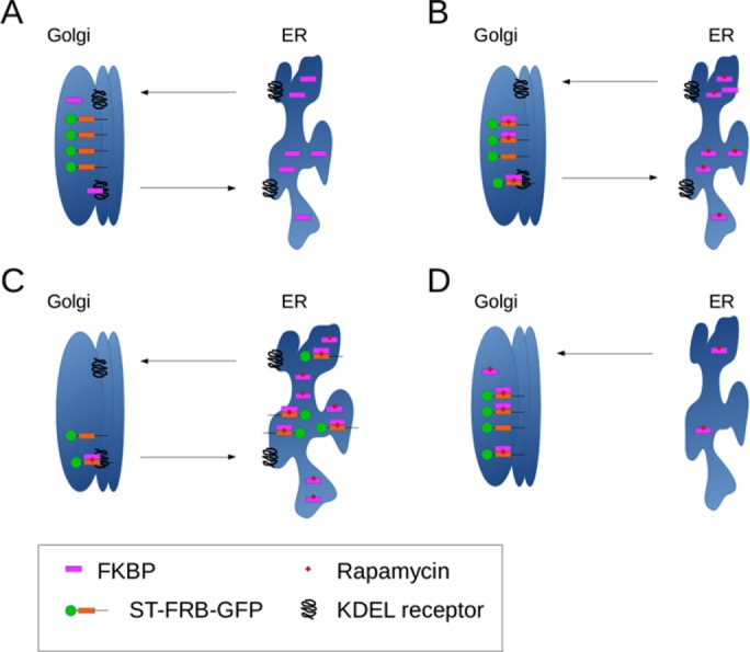 FIGURE 6: