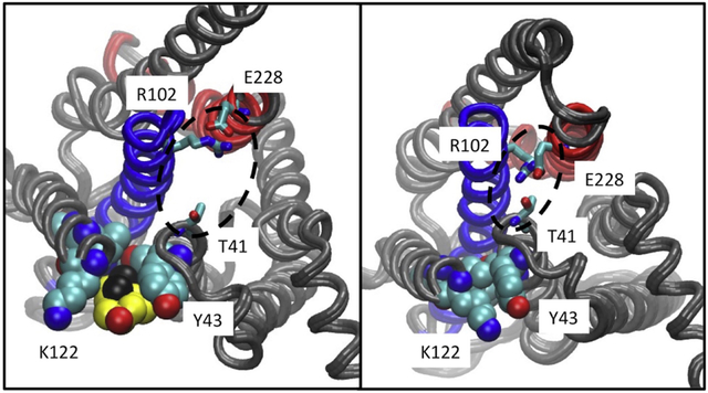 Figure 6.