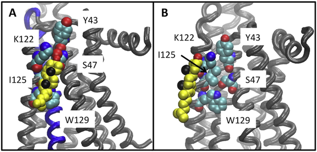 Figure 5.