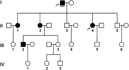 Fig. 1