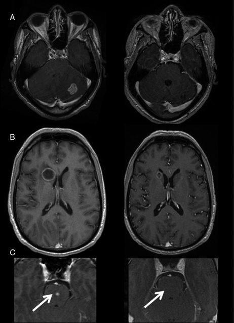 Fig. 1.