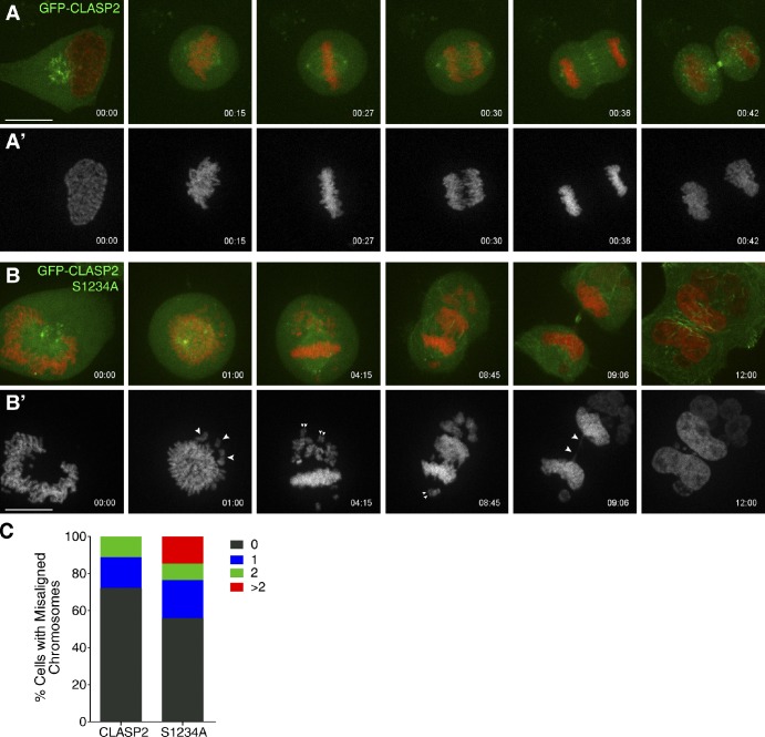 Figure 6.