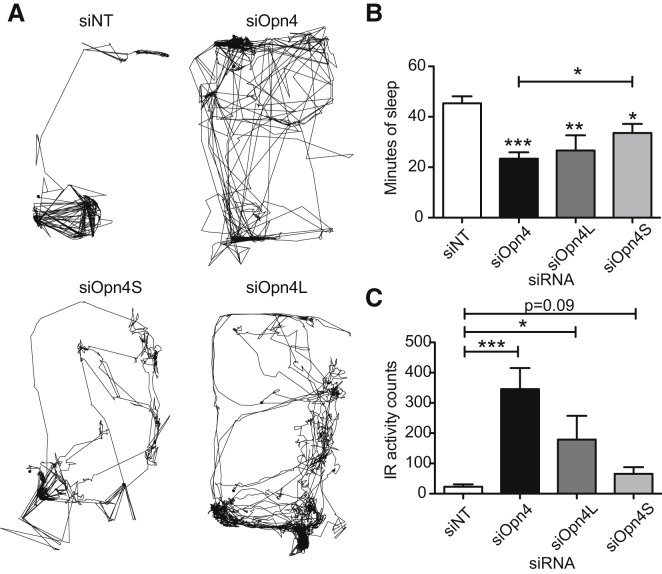 Figure 4