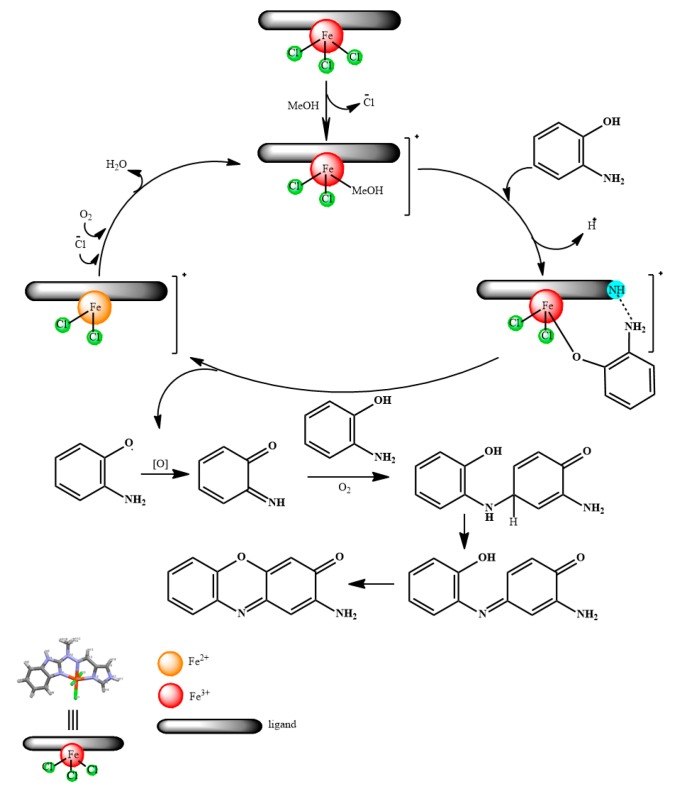 Scheme 3