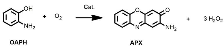 Scheme 2