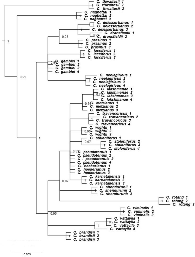 Fig. 3