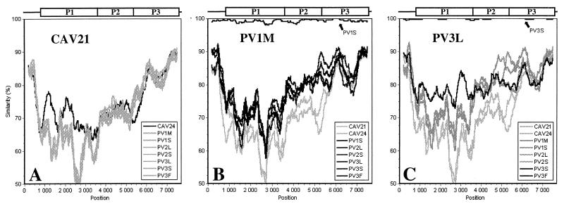 FIG. 6