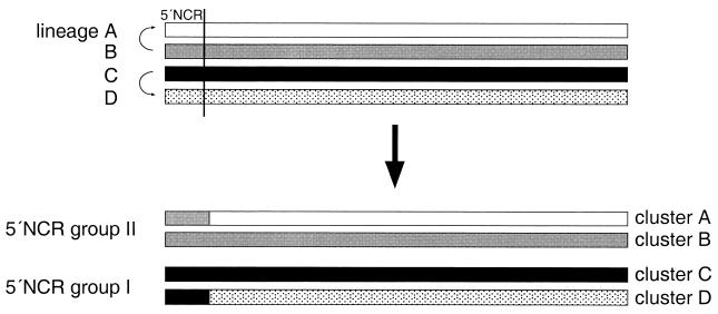 FIG. 7