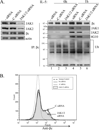 FIGURE 9.