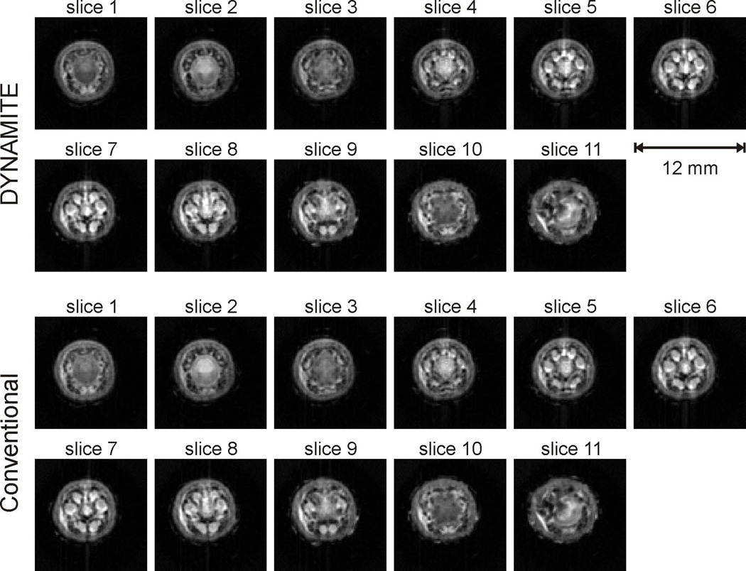 Appendix C (Fig. 11)