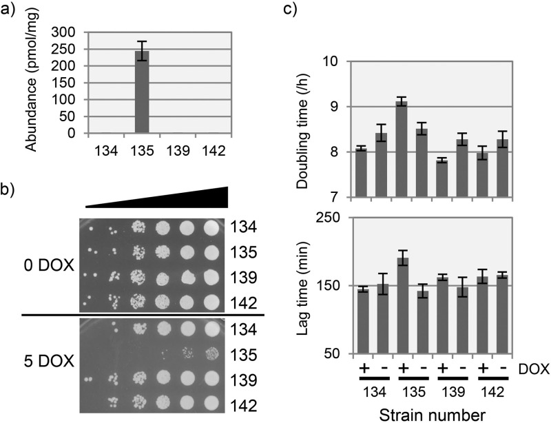 FIG 8 