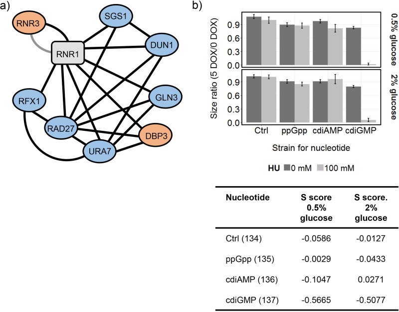 FIG 6 