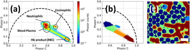 Fig. 7.