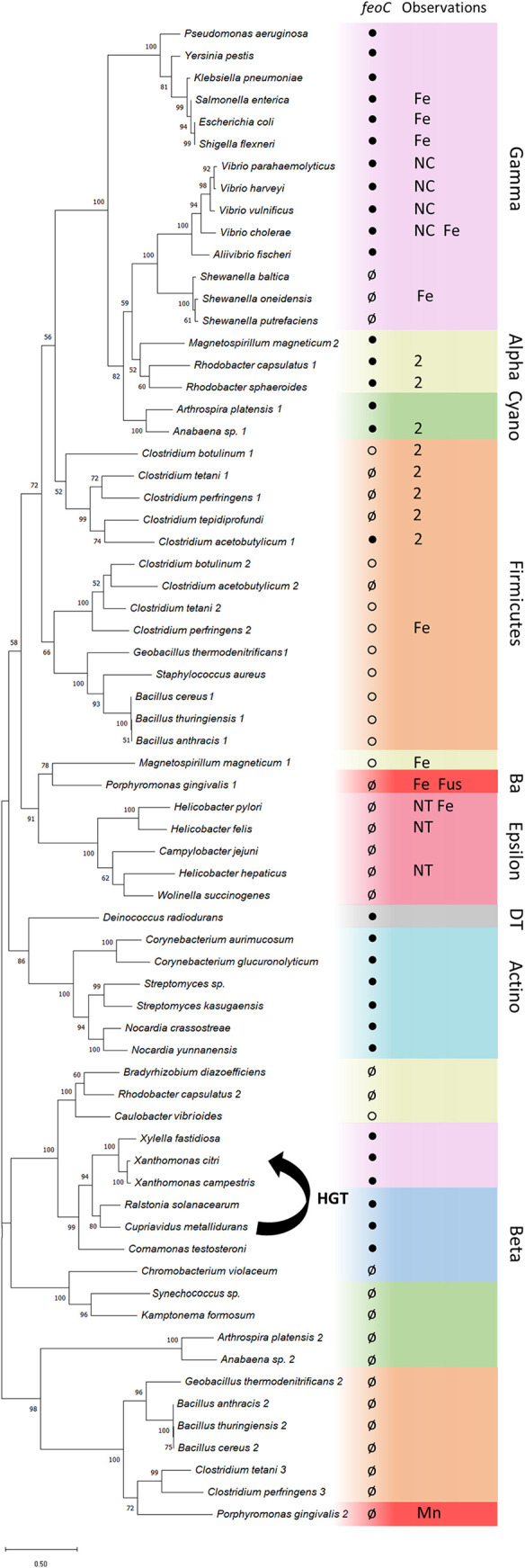 FIG 3