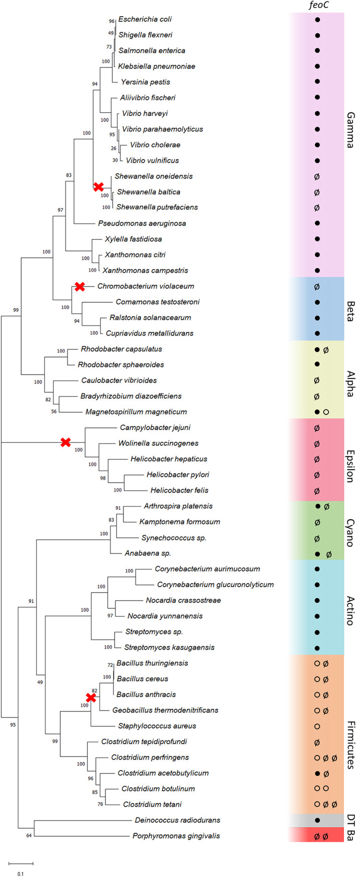 FIG 2