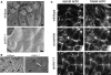 Figure 4.