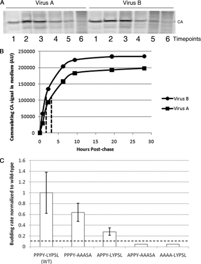 FIG. 2.