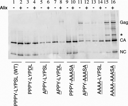 FIG. 8.