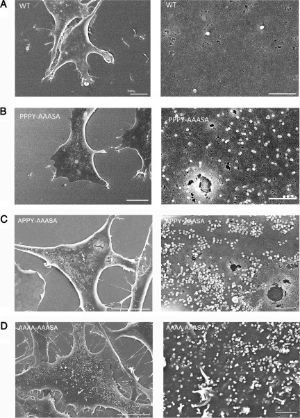 FIG. 9.