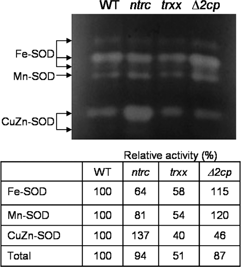 Fig. 9.