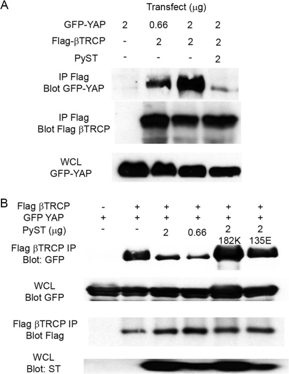 FIG 5