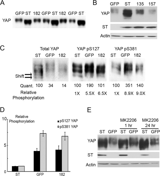 FIG 3