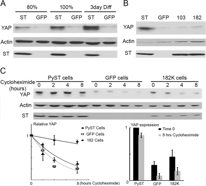 FIG 4