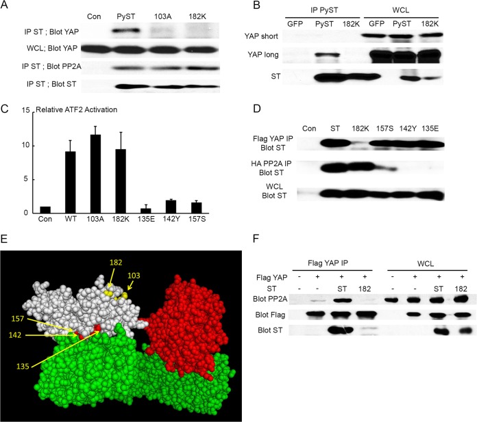 FIG 2