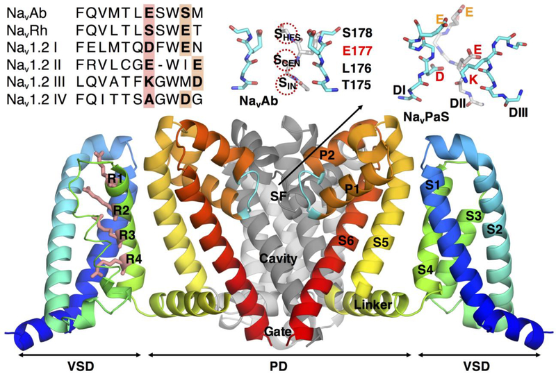 Figure 1: