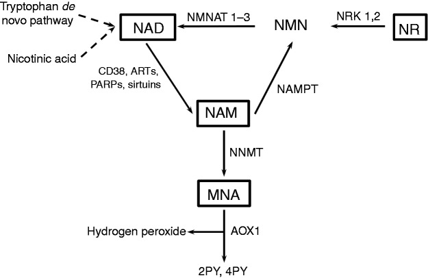 Figure 1.