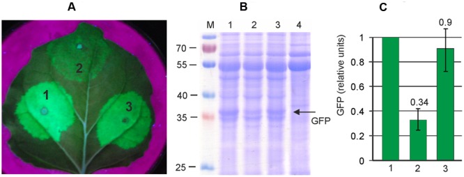 FIGURE 3