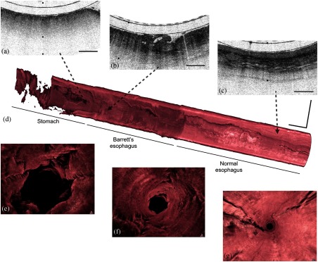 Fig. 5