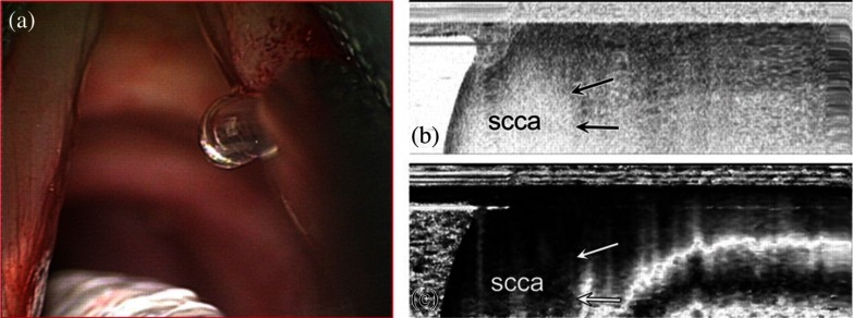 Fig. 9