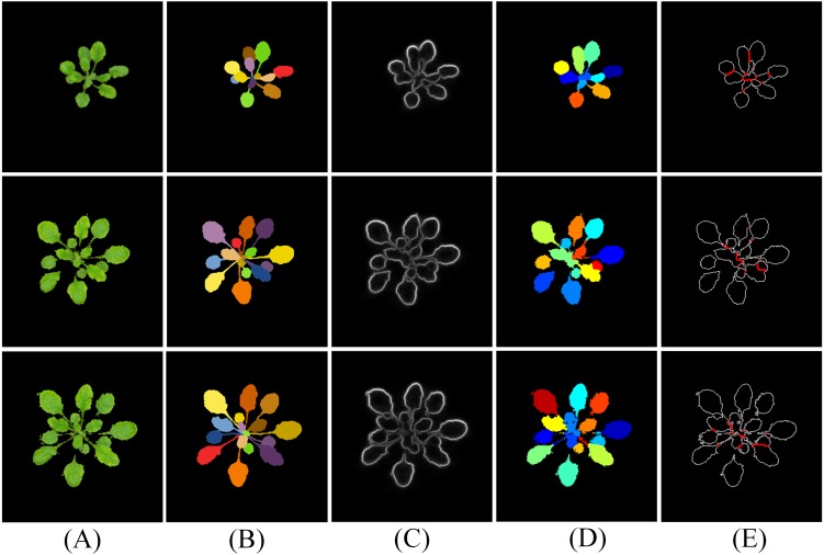 Figure 13