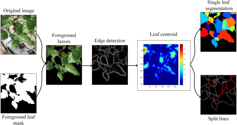 Figure 4