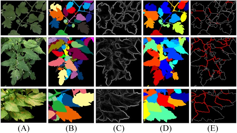 Figure 12