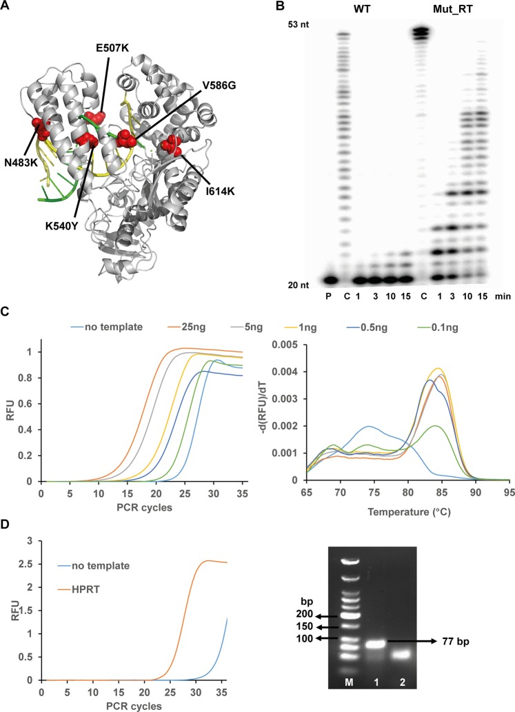 Figure 6