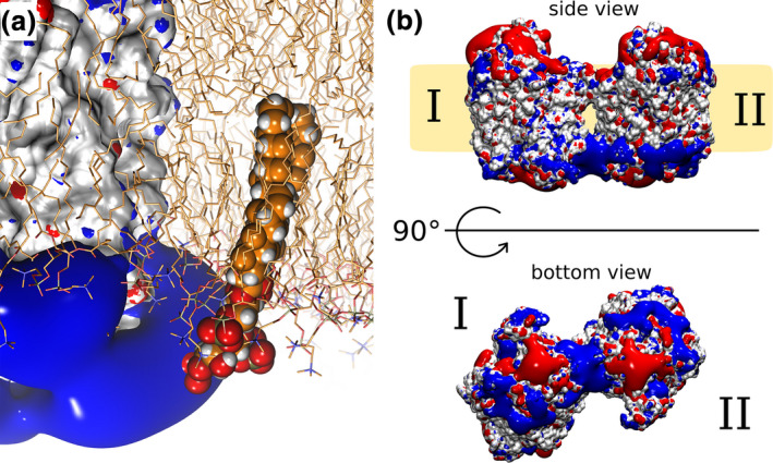 FIGURE 3